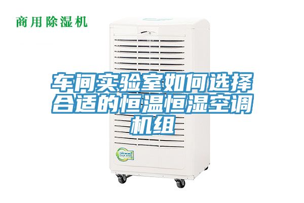 亚洲人成综合第一网站 车间实验室如何选择合适的恒温恒湿空调机组