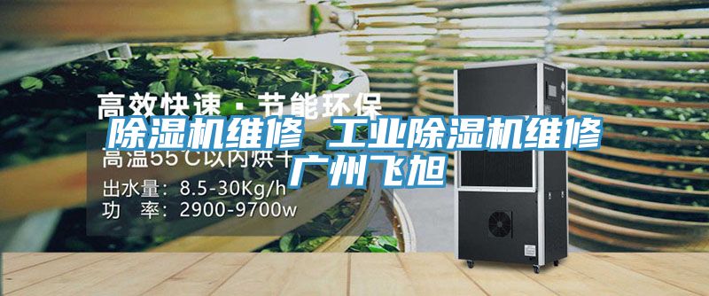 亚洲人成综合第一网站 除湿机维修 工业除湿机维修 广州飞旭