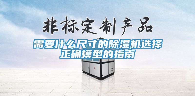亚洲欧美一级特黄大片 需要什么尺寸的除湿机选择正确模型的指南