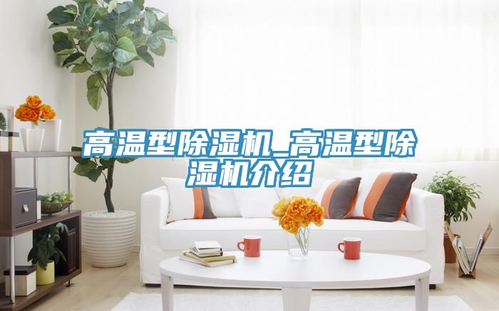 亚洲人成综合第一网站 高温型除湿机_高温型除湿机介绍