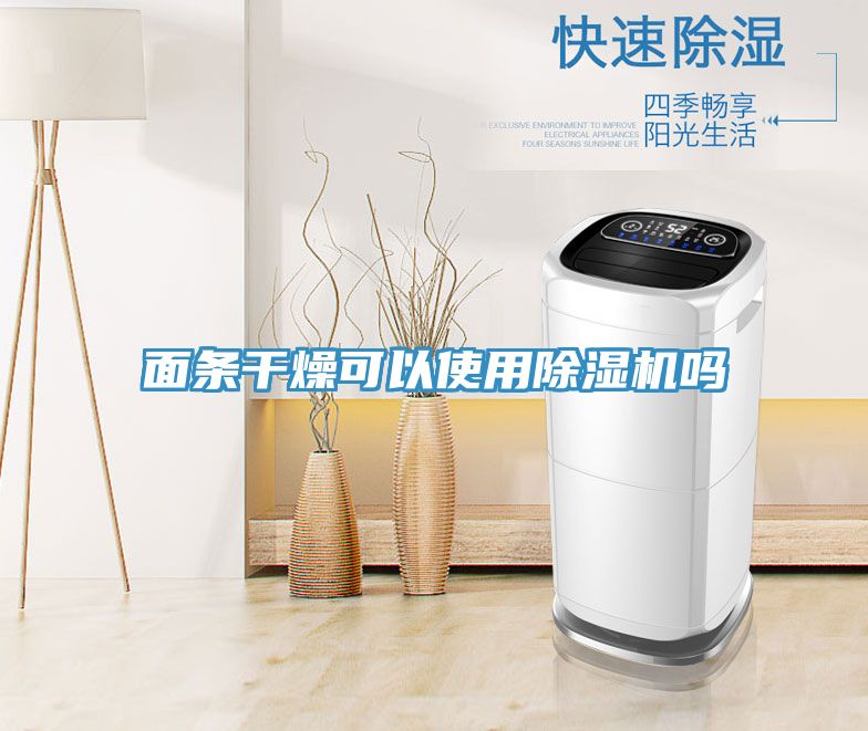 亚洲人成综合第一网站 面条干燥可以使用除湿机吗