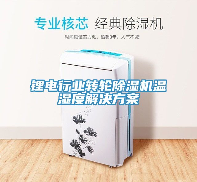 亚洲人成综合第一网站 锂电行业转轮除湿机温湿度解决方案