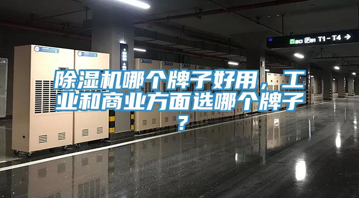 亚洲欧美一级特黄大片 除湿机哪个牌子好用，工业和商业方面选哪个牌子？
