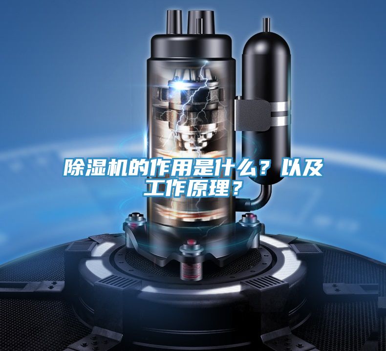 亚洲欧美一级特黄大片 除湿机的作用是什么？以及工作原理？