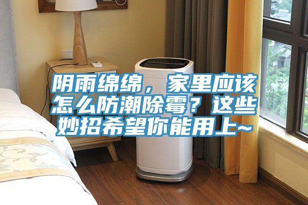 亚洲乱码一区二区三区 阴雨绵绵，家里应该怎么防潮除霉？这些妙招希望你能用上~