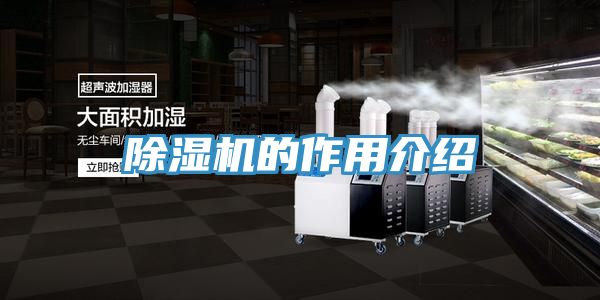 亚洲欧美一级特黄大片 除湿机的作用介绍