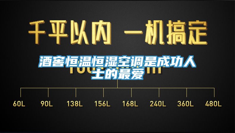 亚洲欧美一级特黄大片 酒窖恒温恒湿空调是成功人士的最爱