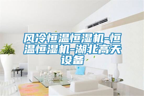 亚洲人成综合第一网站 风冷恒温恒湿机-恒温恒湿机-湖北高天设备