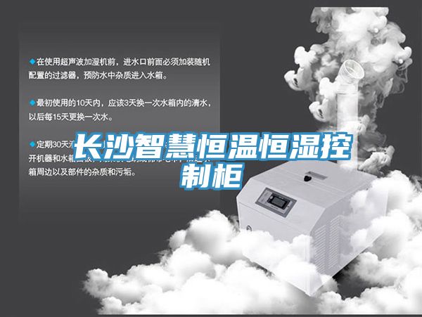 亚洲欧美一级特黄大片 长沙智慧恒温恒湿控制柜