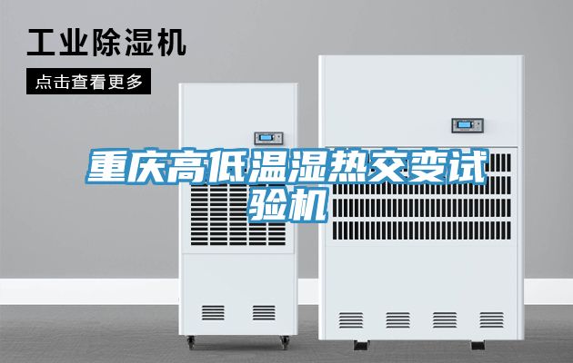 亚洲欧美一级特黄大片 重庆高低温湿热交变试验机
