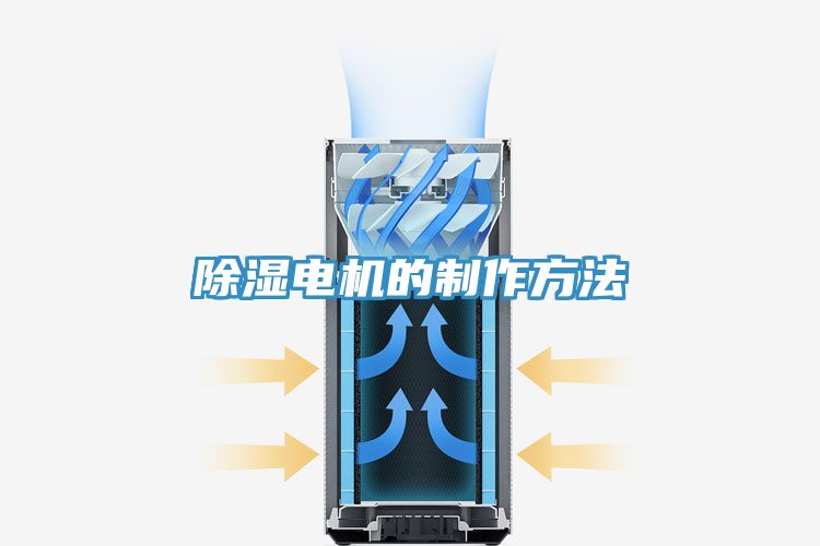 亚洲人成综合第一网站 除湿电机的制作方法