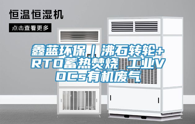 亚洲欧美一级特黄大片 鑫蓝环保｜沸石转轮+RTO蓄热焚烧 工业VOCs有机废气