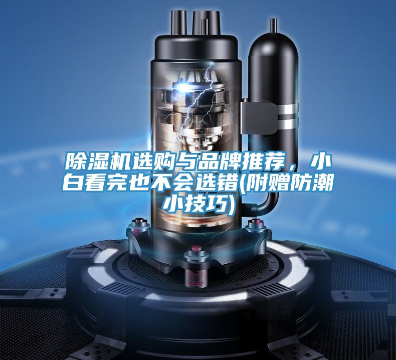 亚洲乱码一区二区三区 除湿机选购与品牌推荐，小白看完也不会选错(附赠防潮小技巧)