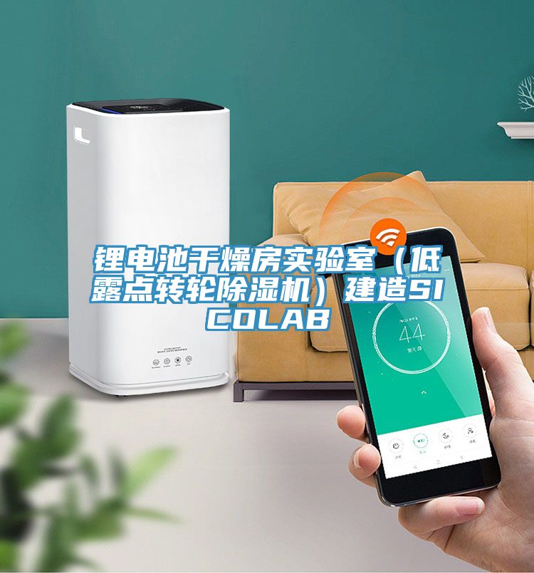 亚洲人成综合第一网站 锂电池干燥房实验室（低露点转轮除湿机）建造SICOLAB