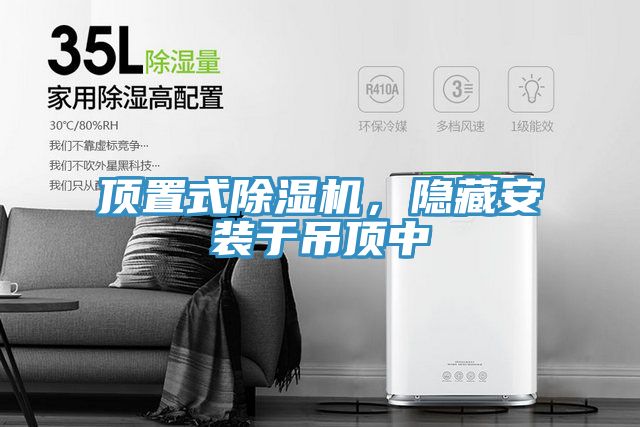 亚洲欧美一级特黄大片 顶置式除湿机，隐藏安装于吊顶中