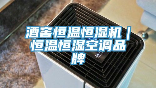 亚洲欧美一级特黄大片 酒窖恒温恒湿机｜恒温恒湿空调品牌