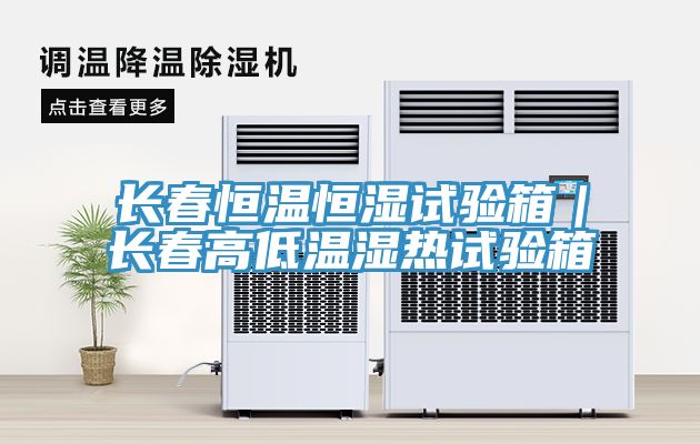 亚洲欧美一级特黄大片 长春恒温恒湿试验箱｜长春高低温湿热试验箱