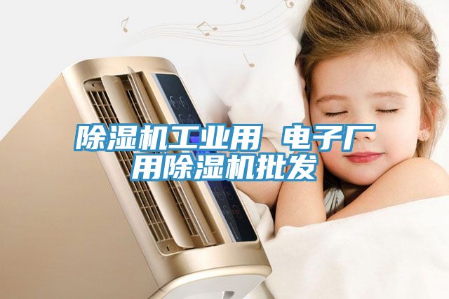亚洲人成综合第一网站 除湿机工业用 电子厂用除湿机批发