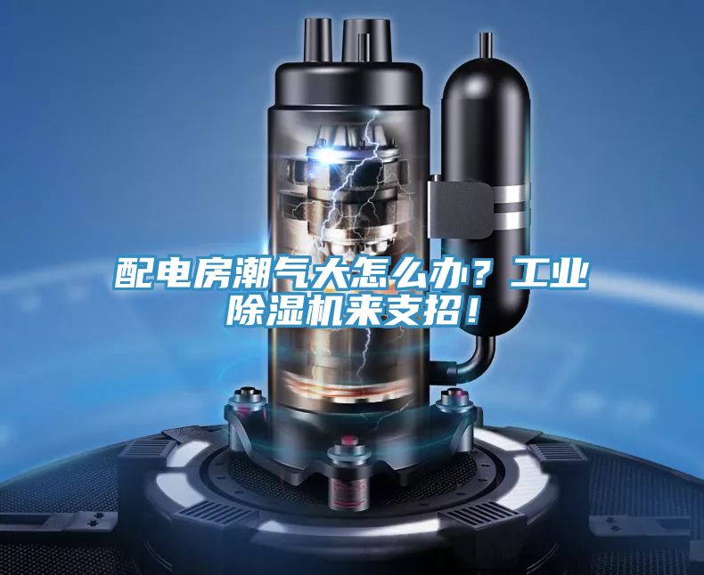 亚洲欧美一级特黄大片 配电房潮气大怎么办？工业除湿机来支招！