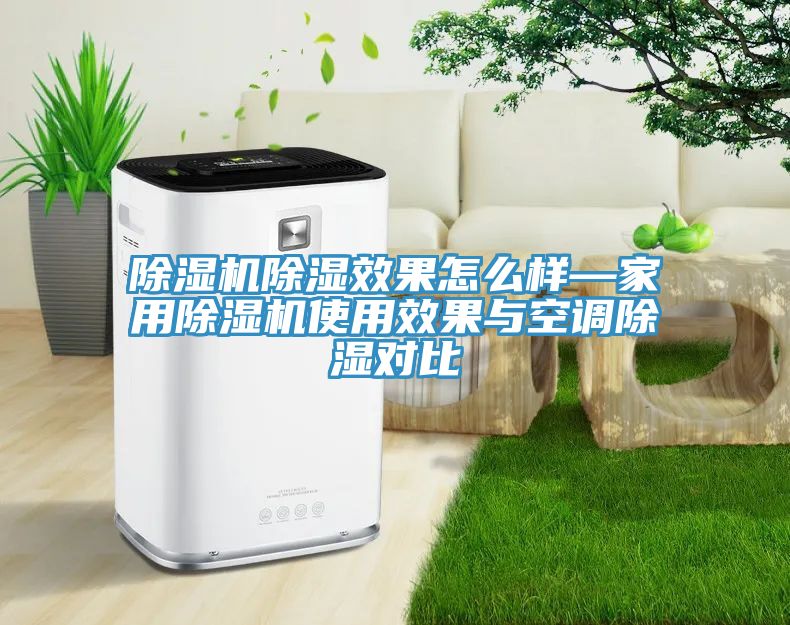 亚洲人成综合第一网站 除湿机除湿效果怎么样—家用除湿机使用效果与空调除湿对比