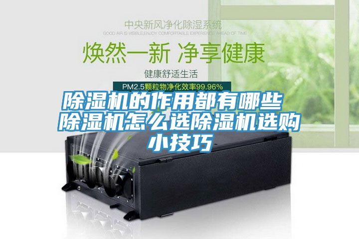 亚洲乱码一区二区三区 除湿机的作用都有哪些 除湿机怎么选除湿机选购小技巧