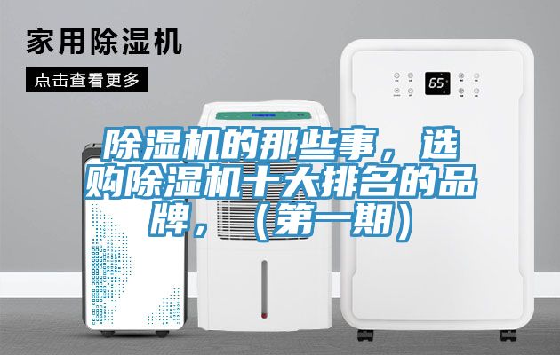 亚洲欧美一级特黄大片 除湿机的那些事，选购除湿机十大排名的品牌，（第一期）