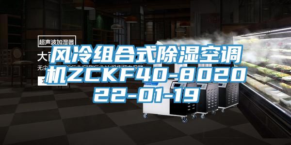 亚洲欧美一级特黄大片 风冷组合式除湿空调机ZCKF40-802022-01-19