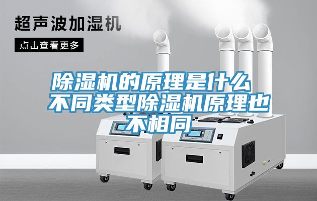 亚洲乱码一区二区三区 除湿机的原理是什么 不同类型除湿机原理也不相同