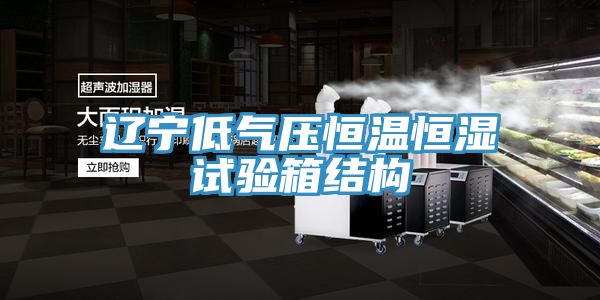 亚洲人成综合第一网站 辽宁低气压恒温恒湿试验箱结构