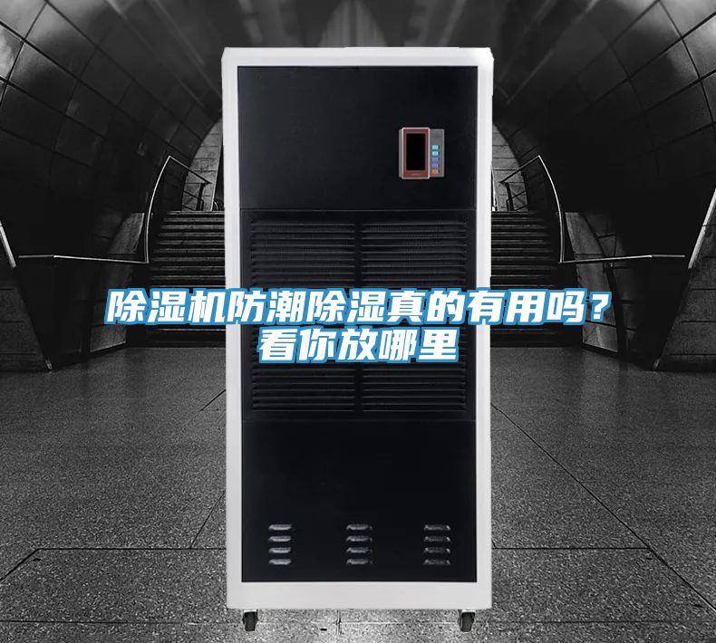 亚洲欧美一级特黄大片 除湿机防潮除湿真的有用吗？看你放哪里