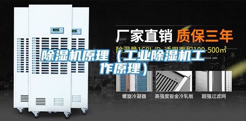亚洲乱码一区二区三区 除湿机原理（工业除湿机工作原理）