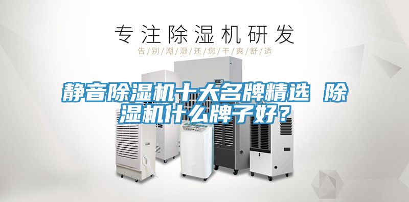 亚洲人成综合第一网站 静音除湿机十大名牌精选 除湿机什么牌子好？