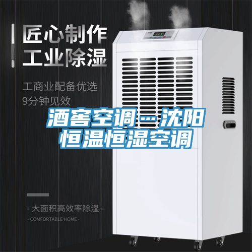 亚洲人成综合第一网站 酒窖空调…沈阳恒温恒湿空调