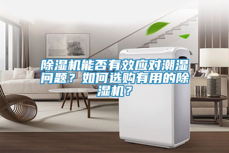 亚洲人成综合第一网站 除湿机能否有效应对潮湿问题？如何选购有用的除湿机？