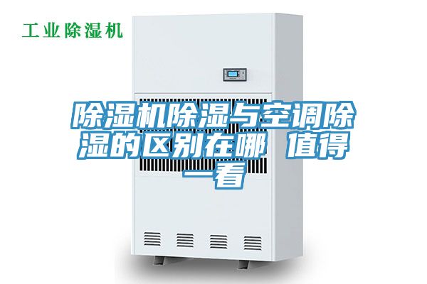 亚洲欧美一级特黄大片 除湿机除湿与空调除湿的区别在哪 值得一看