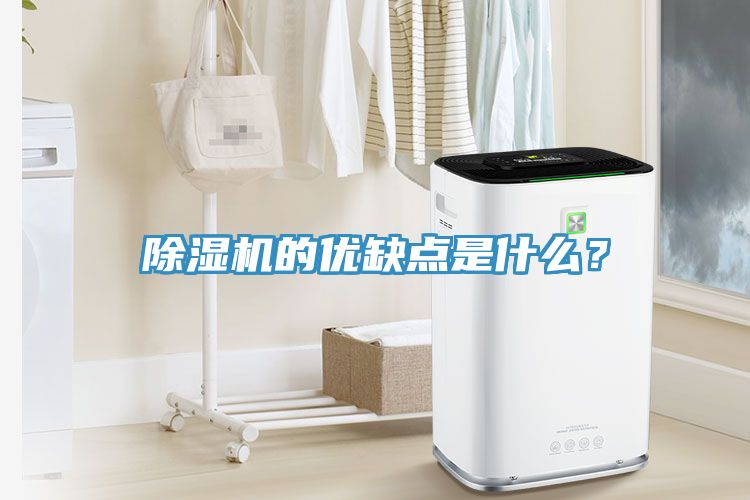 亚洲乱码一区二区三区 除湿机的优缺点是什么？