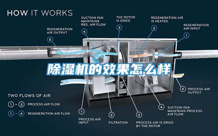 亚洲人成综合第一网站 除湿机的效果怎么样