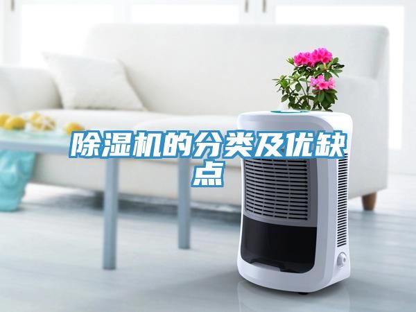 亚洲人成综合第一网站 除湿机的分类及优缺点