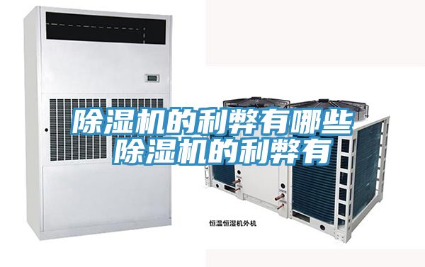 亚洲欧美一级特黄大片 除湿机的利弊有哪些 除湿机的利弊有