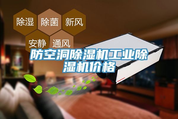 亚洲人成综合第一网站 防空洞除湿机工业除湿机价格