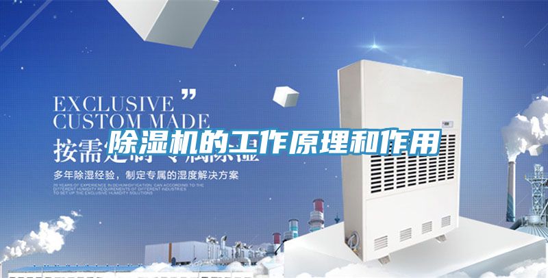 亚洲乱码一区二区三区 除湿机的工作原理和作用