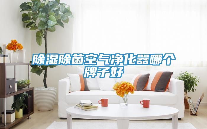 亚洲乱码一区二区三区 除湿除菌空气净化器哪个牌子好