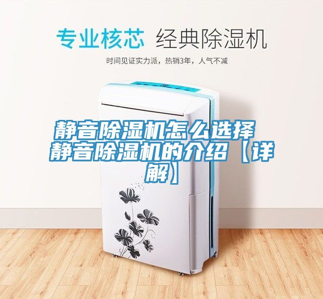 亚洲欧美一级特黄大片 静音除湿机怎么选择 静音除湿机的介绍【详解】