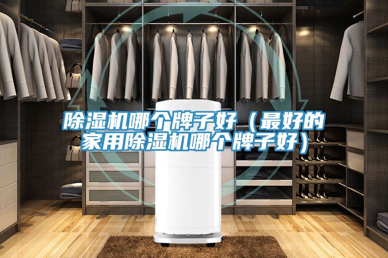 亚洲乱码一区二区三区 除湿机哪个牌子好（最好的家用除湿机哪个牌子好）