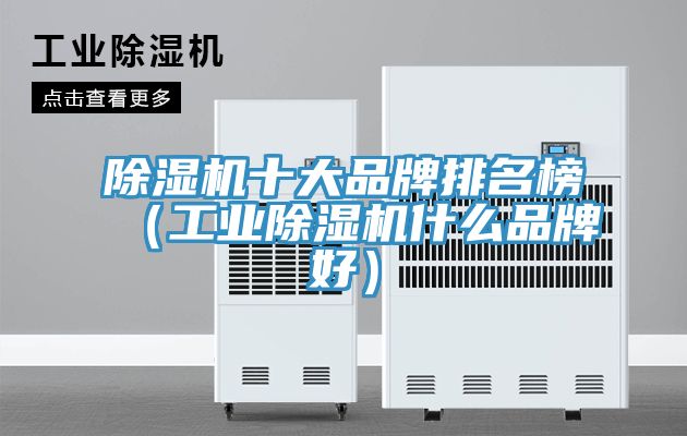 亚洲欧美一级特黄大片 除湿机十大品牌排名榜（工业除湿机什么品牌好）