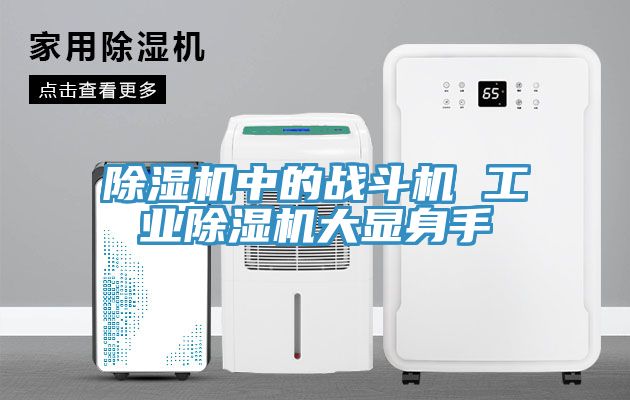 亚洲欧美一级特黄大片 除湿机中的战斗机 工业除湿机大显身手