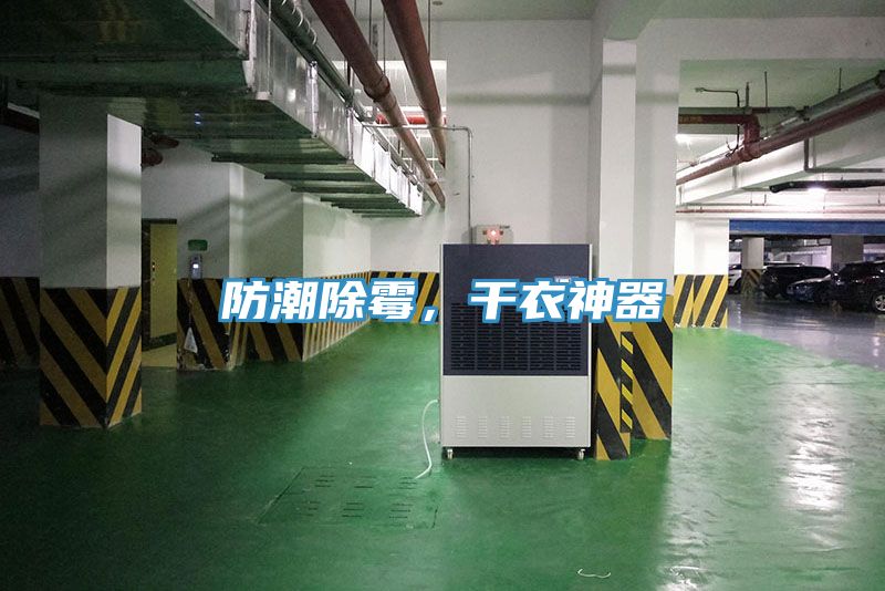 亚洲欧美一级特黄大片 防潮除霉，干衣神器