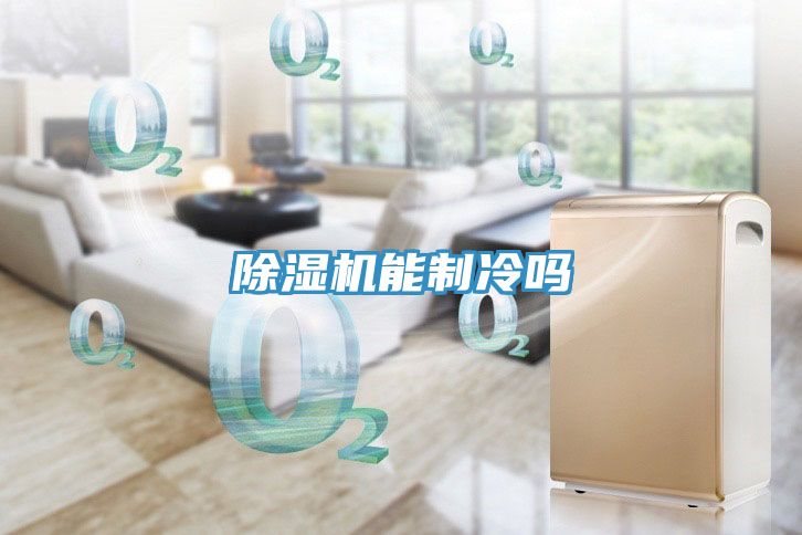 亚洲欧美一级特黄大片 除湿机能制冷吗
