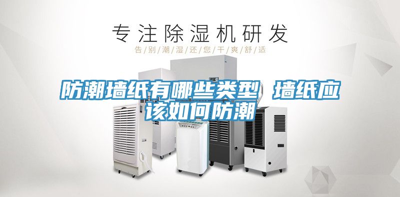 亚洲人成综合第一网站 防潮墙纸有哪些类型 墙纸应该如何防潮