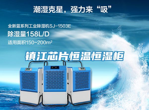 亚洲人成综合第一网站 镇江芯片恒温恒湿柜